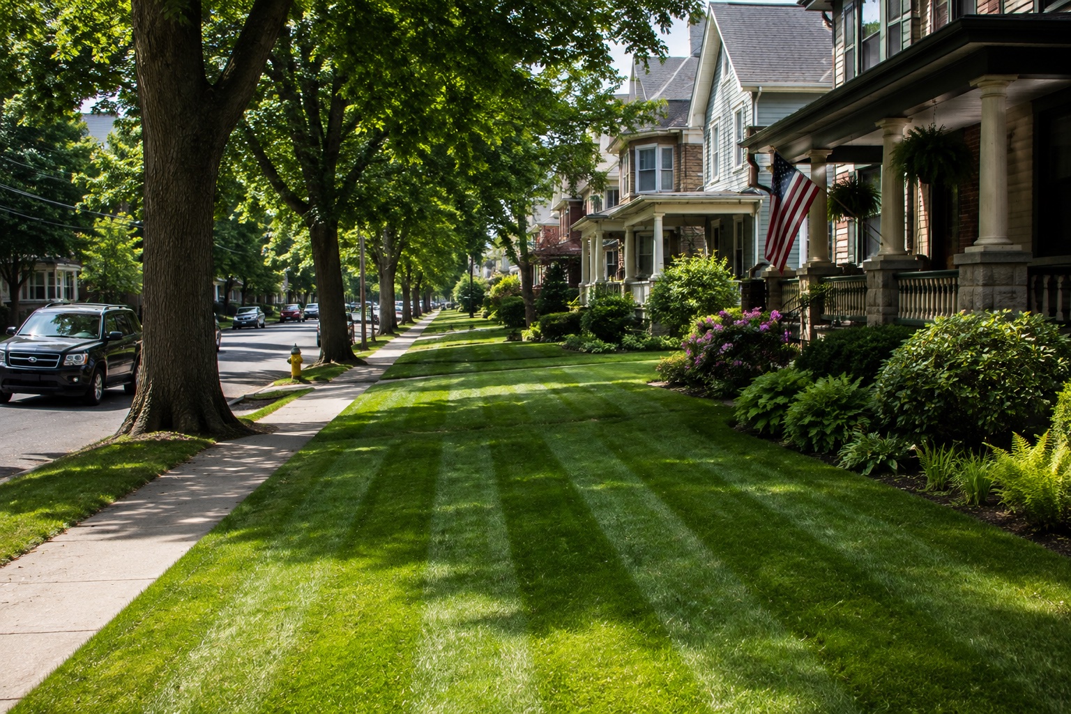 Freshly striped residential lawn on a tree-lined street in the Scranton area